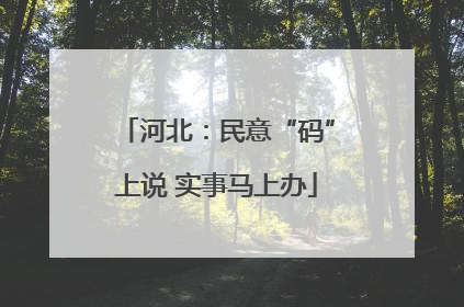 河北：民意“码”上说 实事马上办