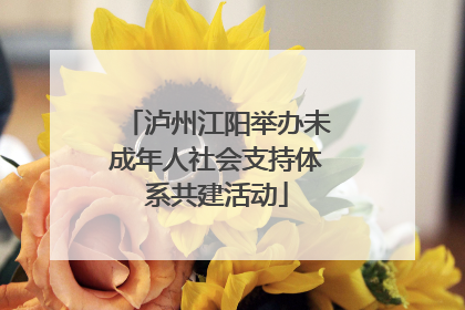 泸州江阳举办未成年人社会支持体系共建活动