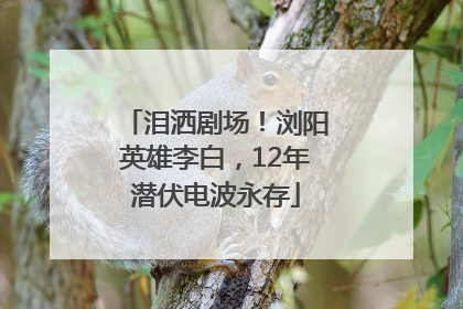 泪洒剧场！浏阳英雄李白，12年潜伏电波永存