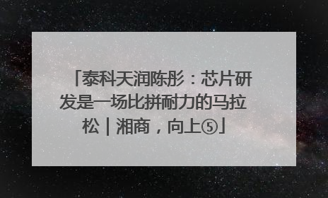 泰科天润陈彤：芯片研发是一场比拼耐力的马拉松｜湘商，向上⑤