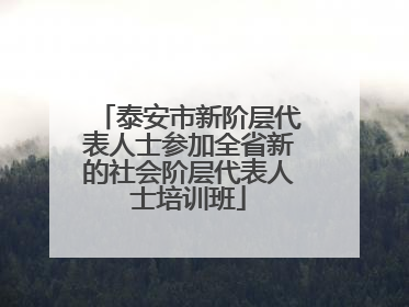泰安市新阶层代表人士参加全省新的社会阶层代表人士培训班