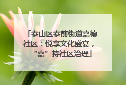 泰山区泰前街道嘉德社区：悦享文化盛宴，“嘉”持社区治理