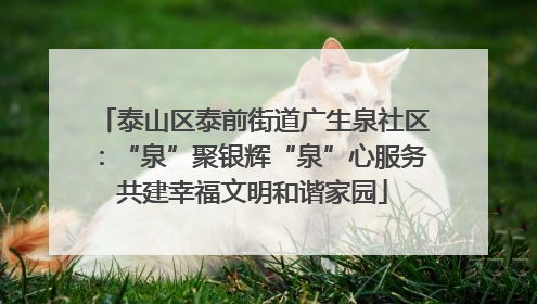 泰山区泰前街道广生泉社区：“泉”聚银辉“泉”心服务共建幸福文明和谐家园