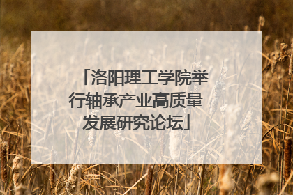 洛阳理工学院举行轴承产业高质量发展研究论坛