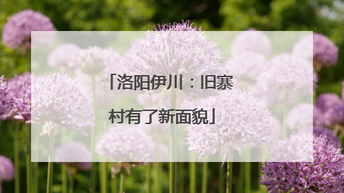 洛阳伊川：旧寨村有了新面貌