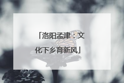 洛阳孟津：文化下乡育新风