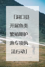 洞口县开展鱼类繁殖期护渔专项执法行动
