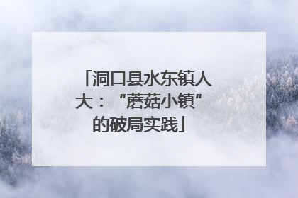 洞口县水东镇人大：“蘑菇小镇”的破局实践