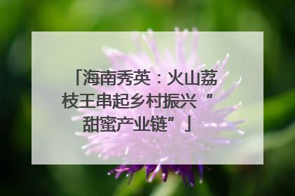 海南秀英：火山荔枝王串起乡村振兴“甜蜜产业链”