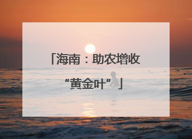 海南：助农增收 “黄金叶”