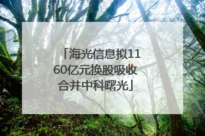 海光信息拟1160亿元换股吸收合并中科曙光
