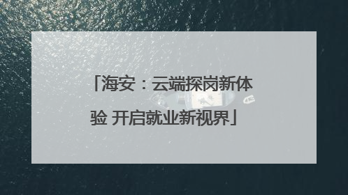 海安：云端探岗新体验 开启就业新视界