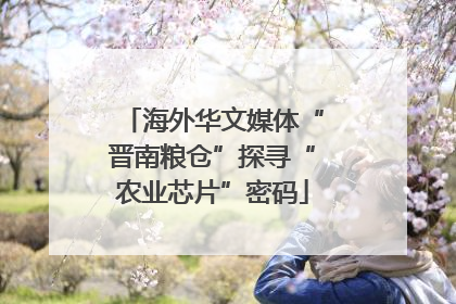 海外华文媒体“晋南粮仓”探寻“农业芯片”密码