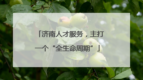 济南人才服务，主打一个“全生命周期”