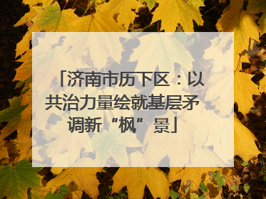 济南市历下区：以共治力量绘就基层矛调新“枫”景