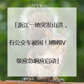 浙江一地突发山洪，有公交车被困！刚刚Ⅳ级应急响应启动