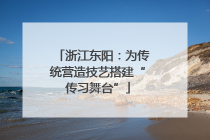 浙江东阳：为传统营造技艺搭建“传习舞台”