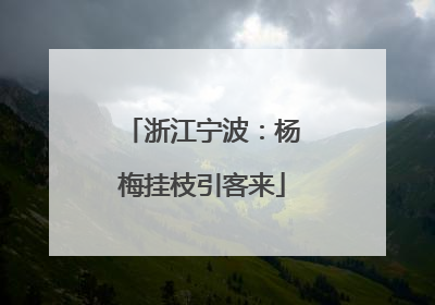 浙江宁波：杨梅挂枝引客来