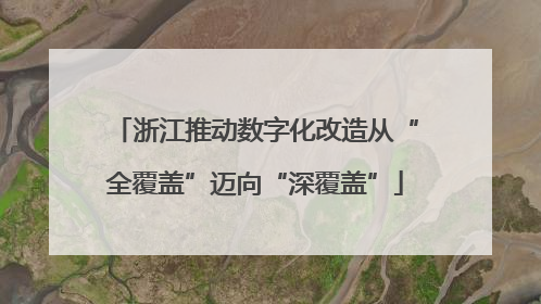 浙江推动数字化改造从“全覆盖”迈向“深覆盖”