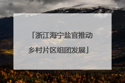 浙江海宁盐官推动乡村片区组团发展