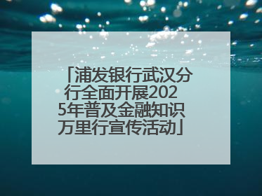 浦发银行武汉分行全面开展2025年普及金融知识万里行宣传活动