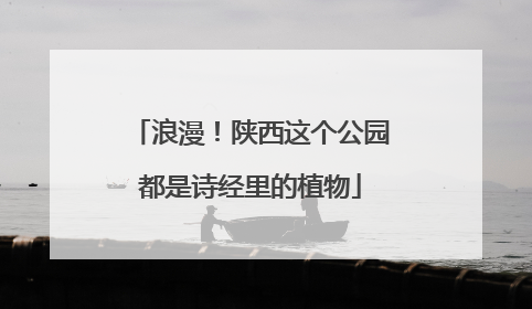 浪漫！陕西这个公园都是诗经里的植物