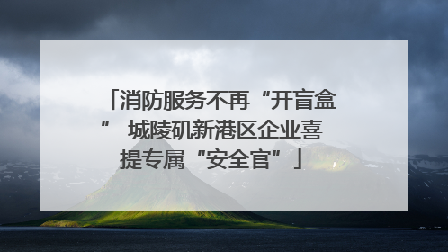 消防服务不再“开盲盒” 城陵矶新港区企业喜提专属“安全官”