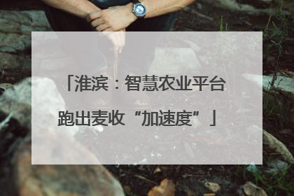 淮滨：智慧农业平台跑出麦收“加速度”