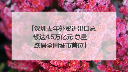 深圳去年外贸进出口总额达4.5万亿元 总量跃居全国城市首位