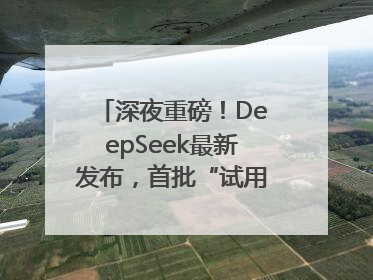 深夜重磅！DeepSeek最新发布，首批“试用体验”出炉→