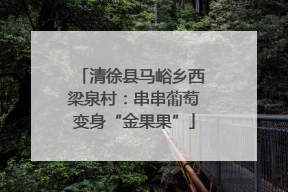 清徐县马峪乡西梁泉村：串串葡萄变身“金果果”