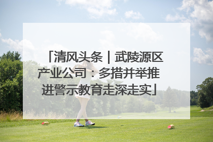 清风头条｜武陵源区产业公司：多措并举推进警示教育走深走实