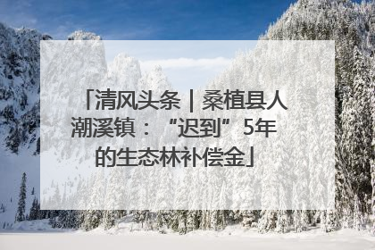 清风头条｜桑植县人潮溪镇：“迟到”5年的生态林补偿金