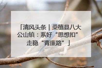 清风头条｜桑植县八大公山镇：系好“思想扣” 走稳“青廉路”