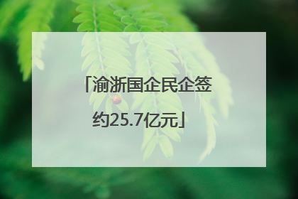 渝浙国企民企签约25.7亿元