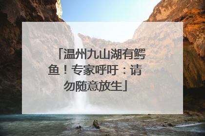温州九山湖有鳄鱼！专家呼吁：请勿随意放生