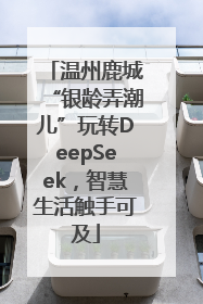 温州鹿城“银龄弄潮儿”玩转DeepSeek，智慧生活触手可及