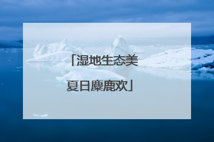 湿地生态美 夏日麋鹿欢
