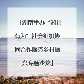 湖南举办“湘社有为”社会组织协同合作服务乡村振兴专题沙龙