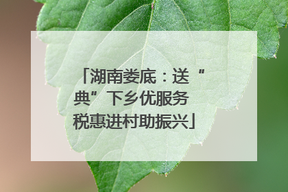 湖南娄底：送“典”下乡优服务 税惠进村助振兴