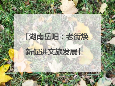 湖南岳阳：老街焕新促进文旅发展