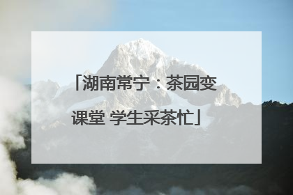 湖南常宁：茶园变课堂 学生采茶忙