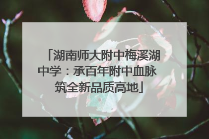 湖南师大附中梅溪湖中学：承百年附中血脉 筑全新品质高地