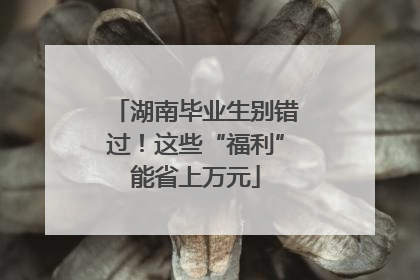 湖南毕业生别错过！这些“福利”能省上万元
