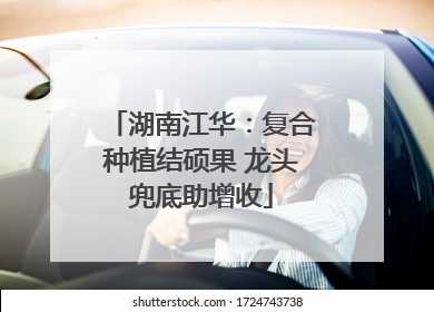 湖南江华：复合种植结硕果 龙头兜底助增收