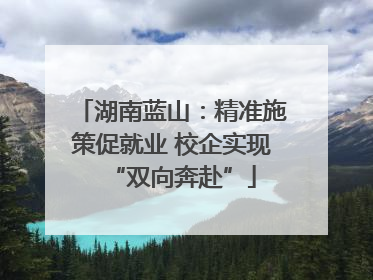 湖南蓝山：精准施策促就业 校企实现“双向奔赴”
