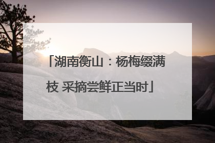 湖南衡山：杨梅缀满枝 采摘尝鲜正当时