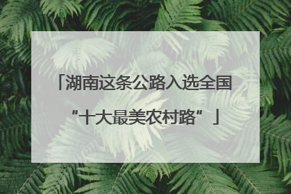 湖南这条公路入选全国“十大最美农村路”