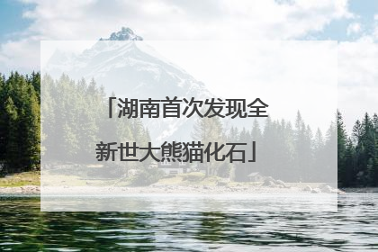 湖南首次发现全新世大熊猫化石