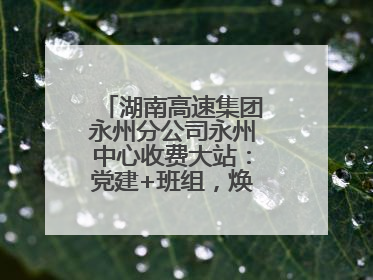 湖南高速集团永州分公司永州中心收费大站：党建+班组，焕发内在活力